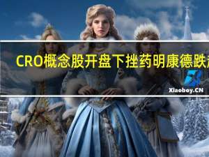 CRO概念股开盘下挫 药明康德跌超5%