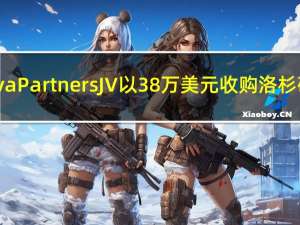 Captiva Partners JV以38万美元收购洛杉矶资产