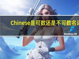 Chinese是可数还是不可数名词
