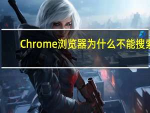Chrome浏览器为什么不能搜索
