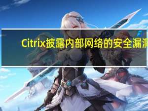 Citrix披露内部网络的安全漏洞