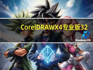 CorelDRAW X4专业版 32/64位 官方简体中文版（CorelDRAW X4专业版 32/64位 官方简体中文版功能简介）