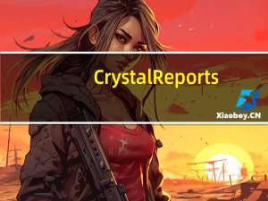 Crystal Reports(水晶报表) V2008 官方版（Crystal Reports(水晶报表) V2008 官方版功能简介）