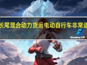 Cube的新型长尾混合动力货运电动自行车非常适合忙碌的城市家庭