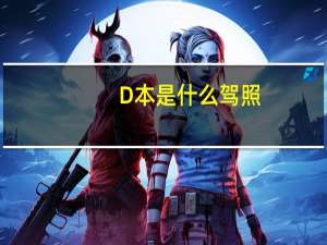 D本是什么驾照？