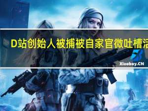 D站创始人被捕被自家官微吐槽活该
