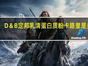 D＆B 定邦 乳清蛋白质粉卡路里是多少