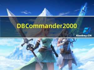 DB Commander 2000(数据库管理) V5.65 中文汉化版（DB Commander 2000(数据库管理) V5.65 中文汉化版功能简介）