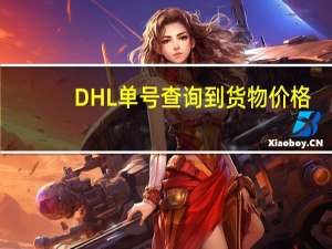 DHL单号查询到货物价格（dhl单号查询）