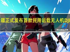 DJI大疆正式发布首款民用运载无人机DJIFlyCart30