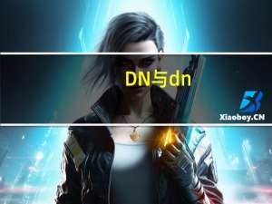 DN与dn（DN和dn的区别）