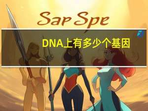 DNA上有多少个基因