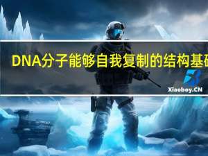 DNA分子能够自我复制的结构基础是