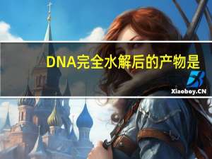 DNA完全水解后的产物是：