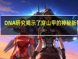 DNA研究揭示了穿山甲的神秘新物种