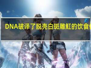 DNA破译了脱壳白斑雕魟的饮食偏好