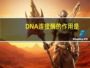DNA连接酶的作用是(　　)