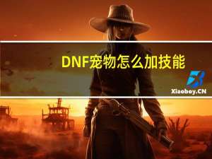 DNF宠物怎么加技能
