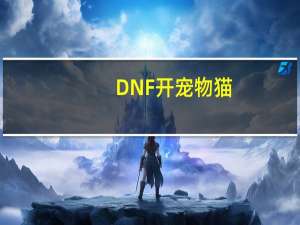 DNF开宠物猫