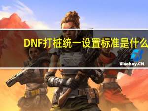 DNF打桩统一设置标准是什么