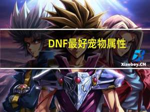 DNF最好宠物属性