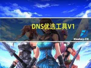 DNS优选工具 V1.0 绿色免费版（DNS优选工具 V1.0 绿色免费版功能简介）