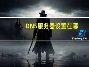 DNS服务器设置在哪（dns服务器地址怎么设置）