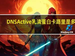 DNS Active 乳清蛋白卡路里是多少