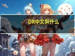DR中文叫什么