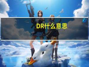 DR什么意思