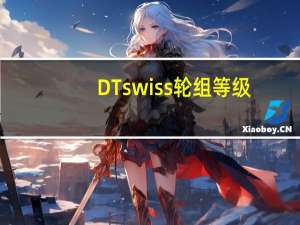 DT swiss轮组等级