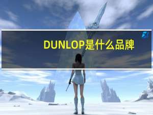 DUNLOP是什么品牌