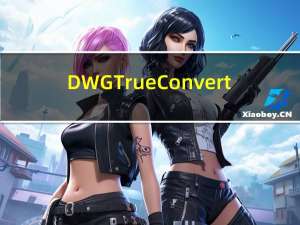 DWG TrueConvert(dwg版本转换工具) V8.8.7.0 多语中文版（DWG TrueConvert(dwg版本转换工具) V8.8.7.0 多语中文版功能简介）