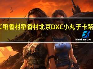 DXC稻香村 稻香村 北京DXC 小丸子卡路里是多少