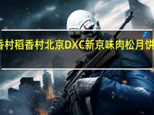 DXC稻香村 稻香村 北京DXC 新京味肉松月饼的热量是多少