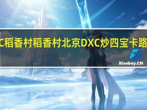 DXC稻香村 稻香村 北京DXC 炒四宝卡路里是多少