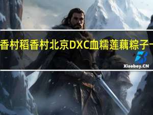 DXC稻香村 稻香村 北京DXC 血糯莲藕粽子卡路里是多少