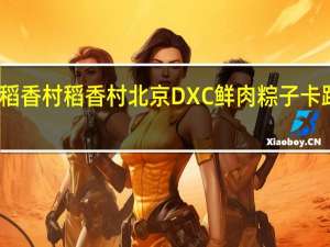 DXC稻香村 稻香村 北京DXC 鲜肉粽子卡路里是多少