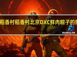 DXC稻香村 稻香村 北京DXC 鲜肉粽子的热量是多少