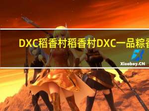 DXC稻香村 稻香村 DXC 一品粽香(黑芝麻棕)的热量是多少