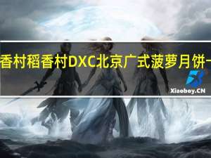DXC稻香村 稻香村 DXC 北京 广式菠萝月饼卡路里是多少