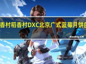 DXC稻香村 稻香村 DXC 北京广式蓝莓月饼的热量是多少