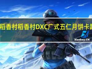 DXC稻香村 稻香村 DXC 广式五仁月饼卡路里是多少