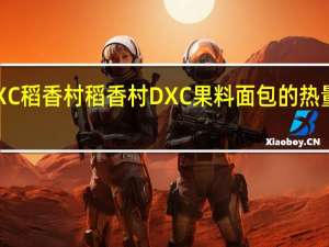 DXC稻香村 稻香村 DXC 果料面包的热量是多少