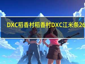 DXC稻香村 稻香村 DXC 江米条 260g/包的热量是多少