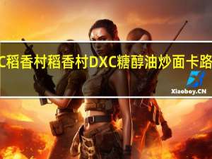 DXC稻香村 稻香村 DXC 糖醇油炒面卡路里是多少