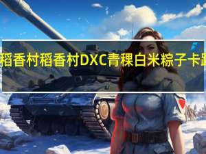 DXC稻香村 稻香村 DXC 青稞白米粽子卡路里是多少