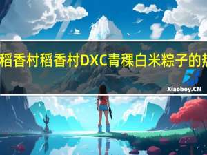 DXC稻香村 稻香村 DXC 青稞白米粽子的热量是多少