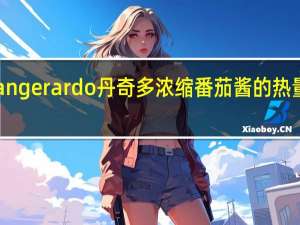 Dangerardo 丹奇多 浓缩番茄酱的热量是多少