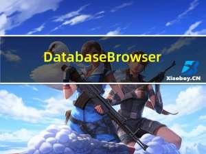 Database Browser(万能数据库查看器) V5.3.2.0 英文绿色版（Database Browser(万能数据库查看器) V5.3.2.0 英文绿色版功能简介）